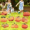 Set of 9 Fall Yard Signs Pumpkin Yard Stakes Thanksgiving Outdoor Decoration Harvest Garden Signs Lawn Pumpkin Sign with Stakes for Home Holiday Decoration Party Supplies Farmhouse